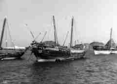 ���� ������ ��� ��� ����